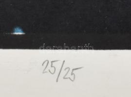 Hajas Tibor (1946-1980): Plomba, 1980. Ofszet, papír, jelzett, számozott (25/25). Lapméret: 30×42 cm...