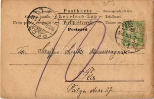 1902 Hölgy kutyával / Lady with dog. photo (EK)