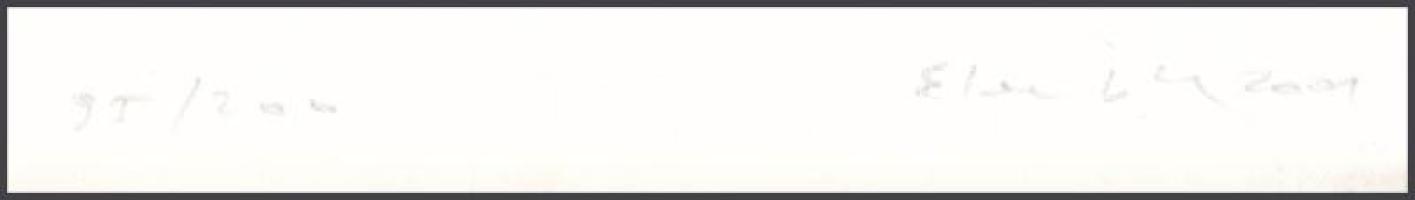 Elekes Károly (1951-): Új kromoszóma. Lito-ofszet, papír, jelzett, számozott (95/200), 29x23 cm. A 2...