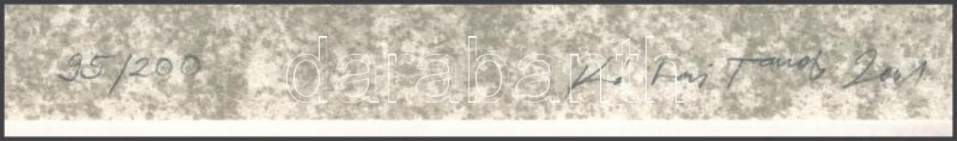 Kótai Tamás (1959-): Rajz. Lito-ofszet, papír, jelzett, számozott (95/200), 29x23 cm. A 2001-ben meg...