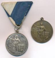 ~1920-1930. "Magyar Athletikai Szövetség Kerületi Bajnoksága" ezüstözött bronz díjérem mel...