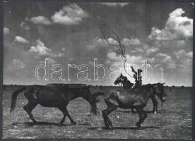 cca 1930-1940 Szendrő István (1908-2000): Hortobágy, csikós lovakkal, pecséttel jelzett fotó, 17×23,5 cm