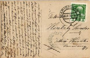 1909 Mariánské Lázne, Marienbad; Villa Rübezahl. Studio montage photo with automobile, F. Friedrich