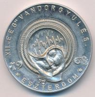 Peternák Gusztáv (1928-) 1968. "Elektronikus Mérőkészülékek Gyára / XII. "EEG" Vándor...