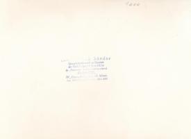 Magyar királyi katonatisztek egy vacsorán, fotó "nemes Jakab Sándor fényképészeti műterme és fo...