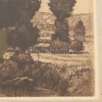 Jelzés nélkül: ,,Vihar után". Rézkarc, papír, paszpartuban, üvegezett fakeretben, 20x18,5 cm (k...