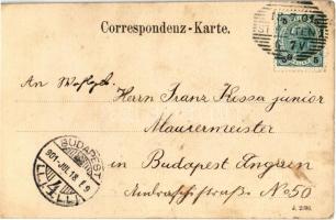 1901 Wilhelm Voelkl (Völkl) - Bürgermeister der 1. f. Stadt St. Pölten und Reichsraths-Abgeordneter....