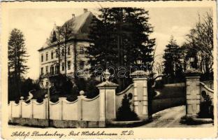 Plankenberg, Schloss / castle