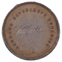 Belgium ~1880-1900. "A Belga Életmentők Királyi és Központi Társaságának érdemérme" aranyo...