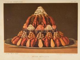 Gouffé, Jules: Die feine Küche. Enthaltend gründliche Anleitung zur höheren u. bürgerlichen Kochkuns...