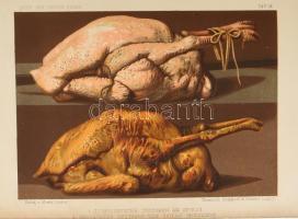 Gouffé, Jules: Die feine Küche. Enthaltend gründliche Anleitung zur höheren u. bürgerlichen Kochkuns...