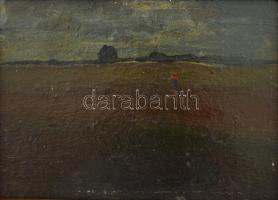 Tornyai (?) jelzéssel: Hazfelé. Olaj, karton. Dekoratív fakeretben. 14x19 cm