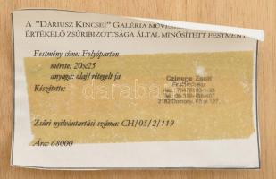 Czinege Zsolt (1964-): Folyóparton. Olaj, rétegelt falemez, jelzett. 25×20 cm. Dekoratív fakeretben