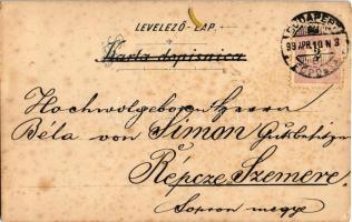 1899 (Vorläufer) Zagreb, Zágráb; Jelacicev trg / piac / market. Jul. Hübna (fl)