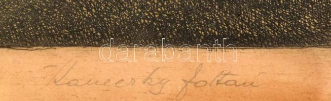 Kaveczky Zoltán (1897-1965): Tiszaparti fűzfák. Rézkarc, papír, jelzett. Üvegezett fakeretben, lap s...