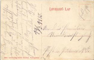 1915 Nyíregyháza, vasútállomás, lovas szekerek. Levelezőlap-király kiadása