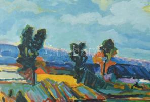 Schéner Mihály (1923-2009): Kékben úszó táj, 1959. Olaj, vászon, jelezve jobbra lent. Hátoldalán aut...