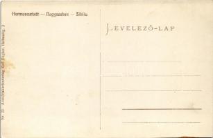 Nagyszeben, Hermannstadt, Sibiu; Viadukt im Erlenpark / Villamos híd az Erlen parkban. Karl Engber N...