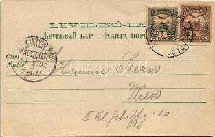 1902 Eszék, Essegg, Osijek; vasútállomás, gőzmozdony, vonat. Eugen Selzer kiadása / railway station,...