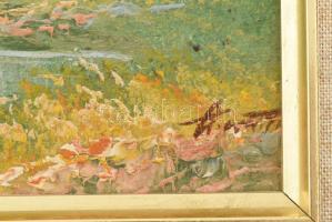 Olvashatatlan jelzéssel: Hegvidéki ták. Olaj, vászon. Dekoratív fakeretben. 20x25 cm