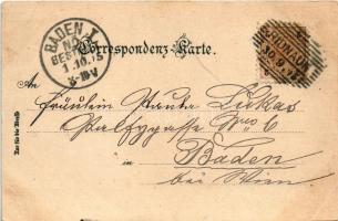 1905 Ridanna, Ridnaun (Südtirol); Gruss vom Kaiserin Elisabeth Schutzhaus af dem Becher / Rifugio Gi...