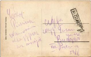 Mezőlaborc, Medzilaborce; Lovag Skoda kastély télen. Schönfeld Sámuel kiadása / castle in winter + &...