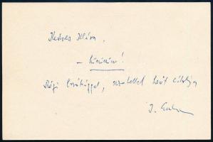 1969 Illés Endre (1902-1986) író, drámaíró, műfordító, műkritikus, a Szépirodalmi Könyvkiadó vezetőj...