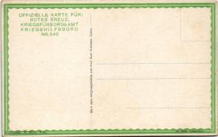 Isonzo Brücke bei Görz, rechts die Görzer Vorstadt Puint, links Peuma. Offizielle Karte für Rotes Kr...