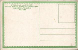 Tiroler Standschütze auf Wache. Offizielle Karte für Rotes Kreuz, Kreigsfürsorgeamt, Kriegshilfsbüro...