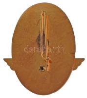 ~1970-1980. "Kiváló Vasutas" műgyantás kitüntető jelvény, eredeti tokban (44x30mm) T:XF