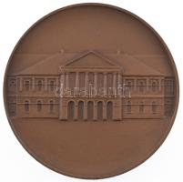 DN "Makó" kétoldalas bronz emlékérem (60mm) T:AU kis ph