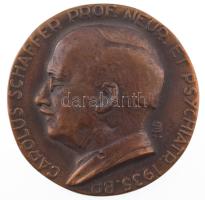 Pátzay Pál (1896-1979) 1935. "CAROLUS SCHAFFER PROF. NEUR. ET PSYCHIATR. 1935. BP. (Professzor Schaffer Károly neurológus és pszichiáter)" egyoldalas bronz emlékérem (60mm) T:AU,XF ü. HPII 2066.