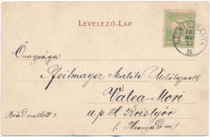 1902 Selmecbánya, Schemnitz, Banská Stiavnica; Klinger-tó. Joreges özvegye és fia kiadása / lake (EK...