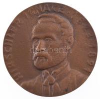 Csucs Viktória (1934-1993) DN "Hirschler Ignácz 1823-1891 / Országos Szemészeti Intézet" bronz emlékérem (58mm) T:XF,VF egy részen öntési hiba