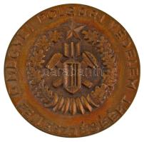 ~1980. A Megyei Polgári Védelem fejlesztéséért egyoldalas bronz emlékérem, nem eredeti dísztokban (85mm) T:AU kis patina