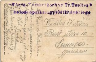 Trencsénteplic-fürdő, Kúpele Trencianske Teplice; Villák. Wertheim Zsigmond kiadása / Villenviertel ...