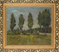 Hermann Lipót (1884-1972): Falusi táj, nyárfákkal Olaj, vászon. Jelzett. sérült. Kissé sérült fakere...