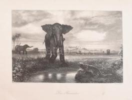 Nagy acélmetszetgyűjtemény, közte néhány litográfiával, össz. kb. 70 db, XIX. sz. közepe-második fel...