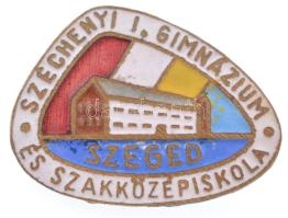 DN "Széchenyi I. Gimnázium és Szakközépiskola Szeged" aranyozott, zománcozott bronz iskolajelvény (~18x25mm) T:AU