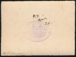 1917 S.M.S. Satellit (1883-1920) torpedó romboló hadihajó legénysége, hátoldalán ritka hajópecséttel...