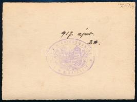 1917 S.M.S. Satellit (1883-1920) torpedó romboló hadihajó legénysége, hátoldalán ritka hajópecséttel...