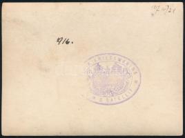 1917 S.M.S. Satellit (1883-1920) torpedó romboló hadihajó legénysége a hátsó torpedócsőnél. Hátoldal...