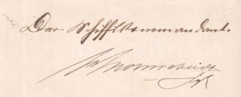 1880 Az S.M. Corvette Minerva parancsnokának kézzel írptt jelentése a Cs. k. Kikötői parancsnokságna...