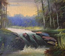 Neogrády jelzéssel: Vízesés. Olaj, vászon, sérült, 55x68,5 cm
