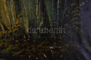 Neogrády jelzéssel: Vízesés. Olaj, vászon, sérült, 55x68,5 cm