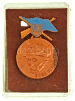 NDK ~1950-1960. Hans Beimler - FDJ (Freie Deutsche Jugend) részben festett, bronzozott fém Szabad Német Ifjúsági jelvény műanyag tokban (45x30mm) T:XF GDR ~1950-1960. Hans Beimler - FDJ (Freie Deutsche Jugend) partially painted, bronzed metal badge in plastic case (45x30mm) T:XF