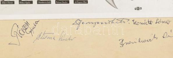 1967 Ferencváros Torna Club (Fradi) 1967-es labdarúgó bajnokcsapatának játékosainak és stábjának aut...