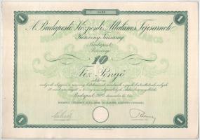 1926. Budapest "Budapesti Központi Általános Tejcsarnok Részvénytársaság" részvénye 10P-rő...
