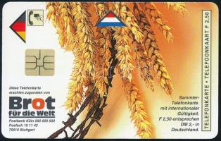 Németország - "Die Speisung der Fünftausend - Wandmalerei von Josué Sanchez, Peru" telefon...