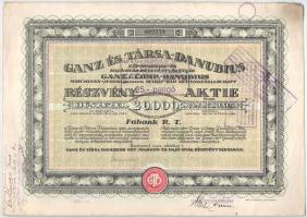 Budapest 1923. "Ganz és Társa-Danubius Gép-, Waggon- és Hajó-Gyár Részvénytársaság" részvé...
